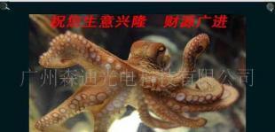 供应供森迪触摸广告机 重塑楼宇卖场电梯场景的全新媒体终端