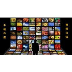 网络搜索如何吸引消费者 解密中秘传媒的策略